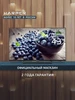 Интернет‑магазин Wildberries: широкий ассортимент товаров - скидки каждый день!